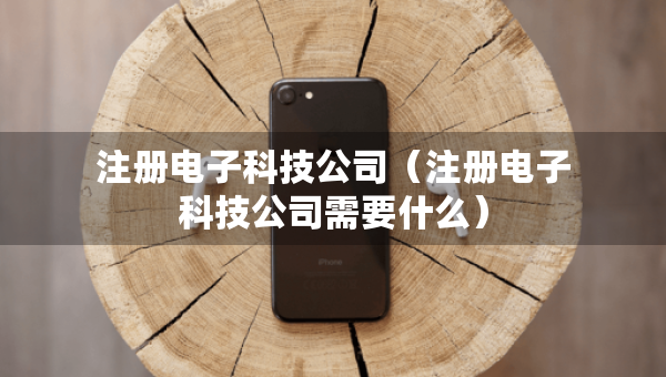 注册电子科技公司（注册电子科技公司需要什么）