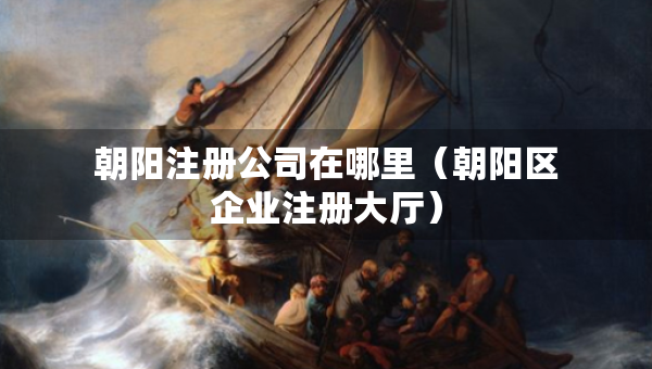 朝阳注册公司在哪里（朝阳区企业注册大厅）
