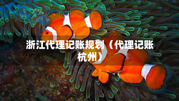 浙江代理记账规划（代理记账杭州）