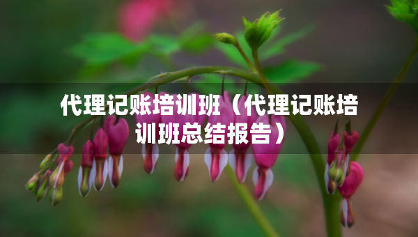 代理记账培训班（代理记账培训班总结报告）