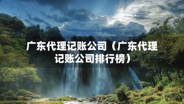 广东代理记账公司（广东代理记账公司排行榜）