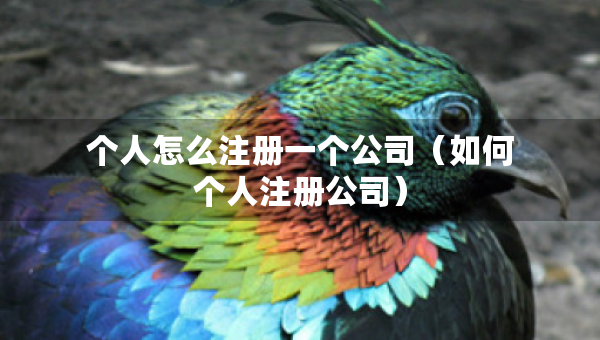 个人怎么注册一个公司（如何个人注册公司）
