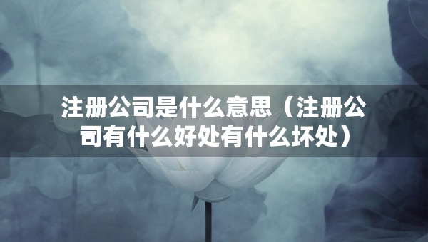 注册公司是什么意思（注册公司有什么好处有什么坏处）