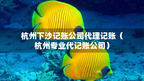 杭州下沙记账公司代理记账（杭州专业代记账公司）