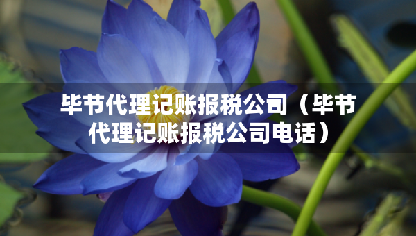 毕节代理记账报税公司（毕节代理记账报税公司电话）