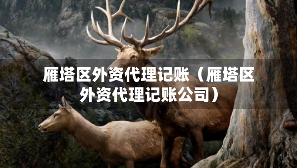雁塔区外资代理记账（雁塔区外资代理记账公司）