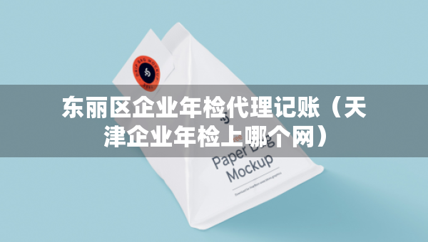 东丽区企业年检代理记账（天津企业年检上哪个网）