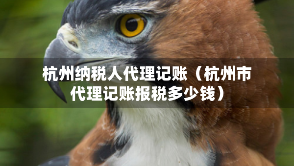 杭州纳税人代理记账（杭州市代理记账报税多少钱）
