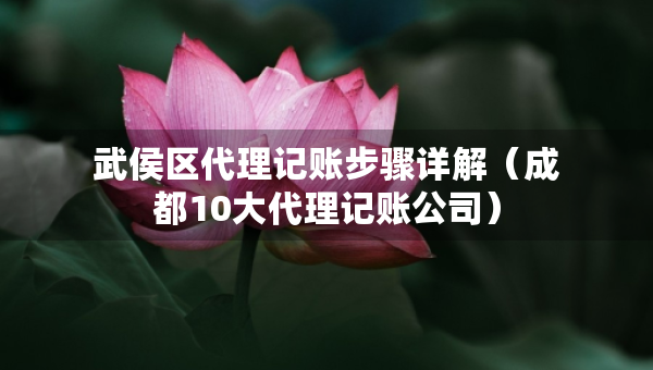 武侯区代理记账步骤详解（成都10大代理记账公司）