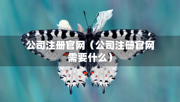 公司注册官网（公司注册官网需要什么）