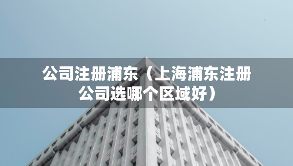 公司注册浦东（上海浦东注册公司选哪个区域好）