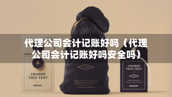 代理公司会计记账好吗（代理公司会计记账好吗安全吗）