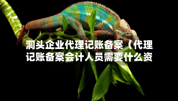 洞头企业代理记账备案（代理记账备案会计人员需要什么资料）