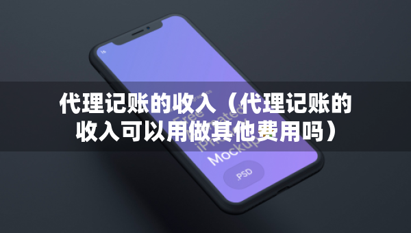 代理记账的收入(代理记账的收入可以用做其他费用吗) 代理记账的收入(代理记账的收入可以用做其他费用吗)