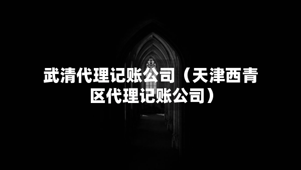 武清代理记账公司（天津西青区代理记账公司）