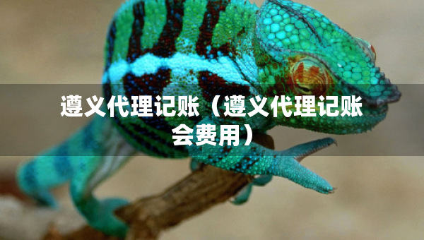 遵义代理记账（遵义代理记账会费用）