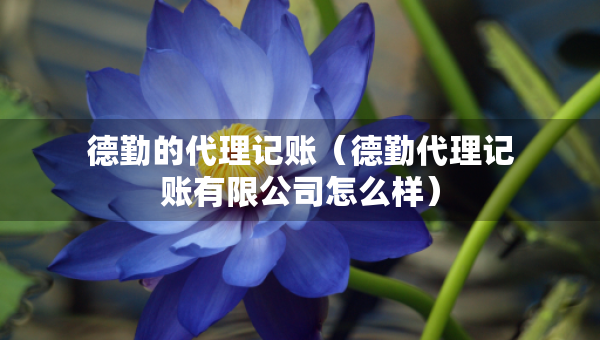 德勤的代理记账（德勤代理记账有限公司怎么样）
