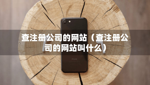 查注册公司的网站（查注册公司的网站叫什么）
