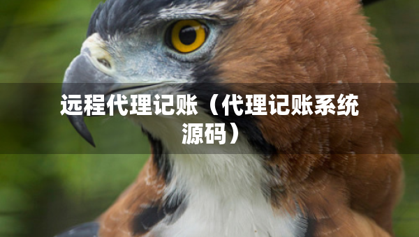 远程代理记账（代理记账系统源码）