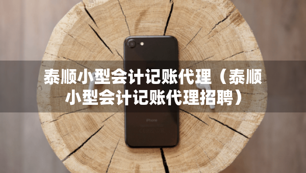 泰顺小型会计记账代理（泰顺小型会计记账代理招聘）