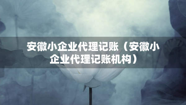 安徽小企业代理记账（安徽小企业代理记账机构）