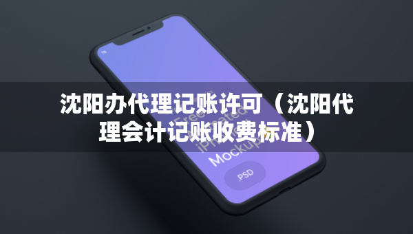 沈阳办代理记账许可（沈阳代理会计记账收费标准）