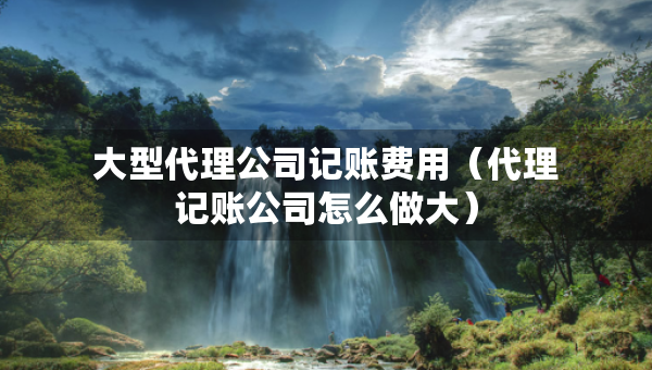 大型代理公司记账费用(代理记账公司怎么做大) 大型代理公司记账费用(代理记账公司怎么做大)