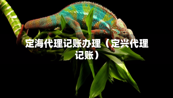 定海代理记账办理（定兴代理记账）