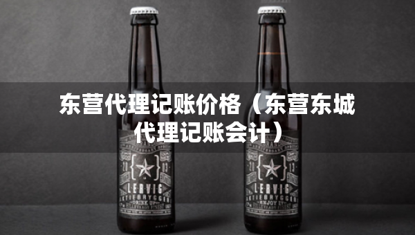东营代理记账价格（东营东城代理记账会计）