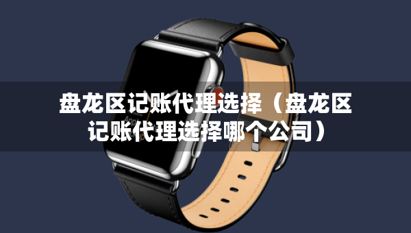 盘龙区记账代理选择（盘龙区记账代理选择哪个公司）