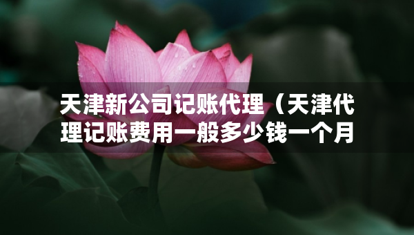 天津新公司记账代理（天津代理记账费用一般多少钱一个月）