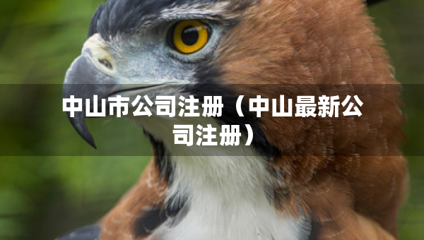 中山市公司注册（中山最新公司注册）