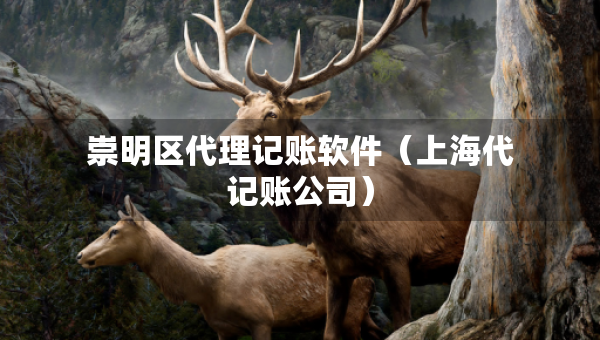 崇明区代理记账软件（上海代记账公司）