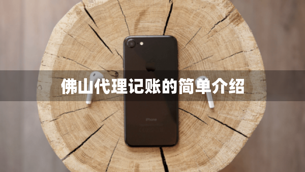 佛山代理记账的简单介绍