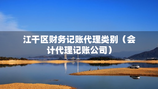江干区财务记账代理类别（会计代理记账公司）