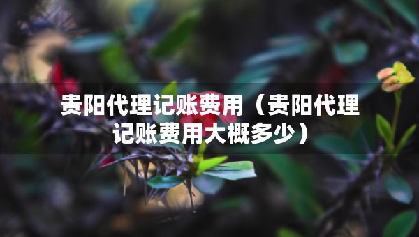 贵阳代理记账费用（贵阳代理记账费用大概多少）