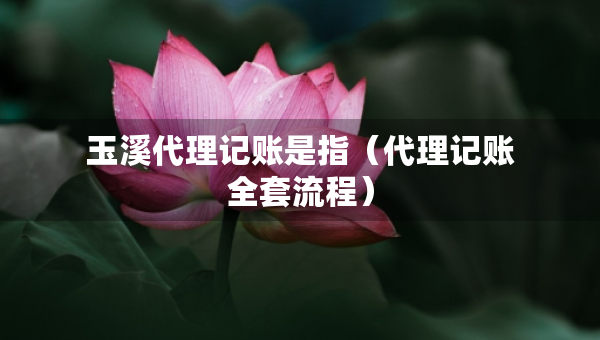 玉溪代理记账是指（代理记账全套流程）