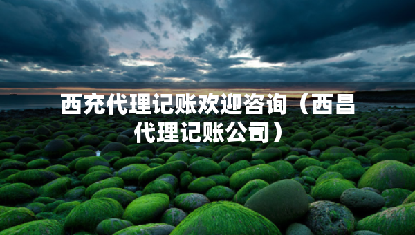 西充代理记账欢迎咨询（西昌代理记账公司）