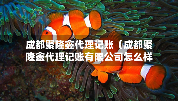 成都聚隆鑫代理记账（成都聚隆鑫代理记账有限公司怎么样）