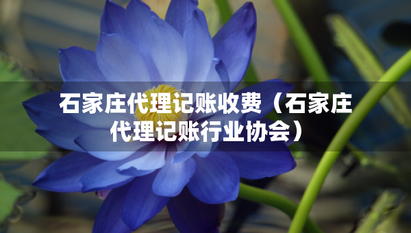 石家庄代理记账收费（石家庄代理记账行业协会）