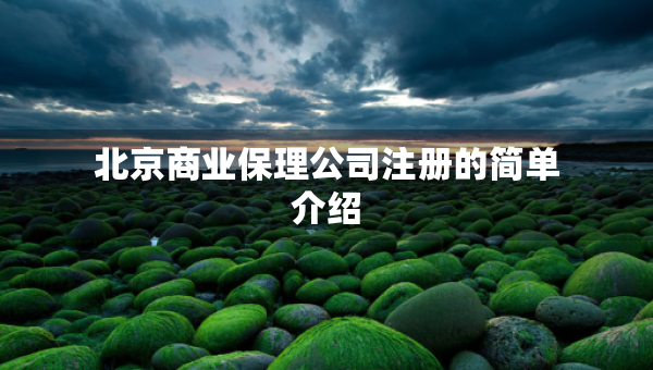 北京商业保理公司注册的简单介绍
