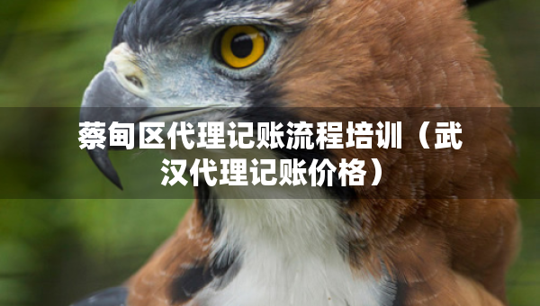 蔡甸区代理记账流程培训（武汉代理记账价格）