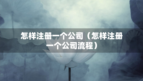 怎样注册一个公司（怎样注册一个公司流程）