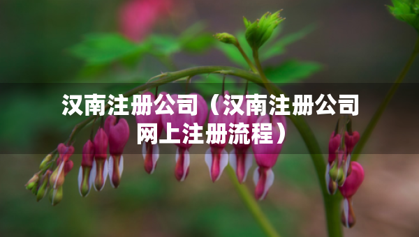 汉南注册公司（汉南注册公司网上注册流程）
