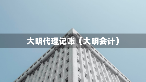 大明代理记账（大明会计）