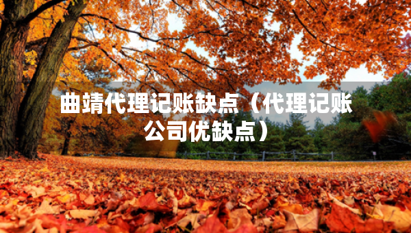 曲靖代理记账缺点（代理记账公司优缺点）