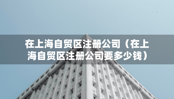 在上海自贸区注册公司（在上海自贸区注册公司要多少钱）