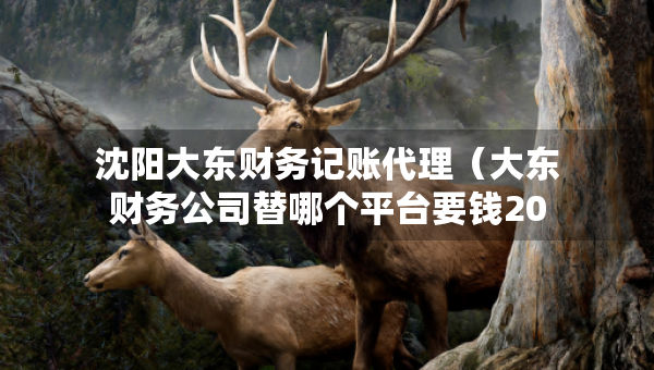 沈阳大东财务记账代理（大东财务公司替哪个平台要钱2020年）
