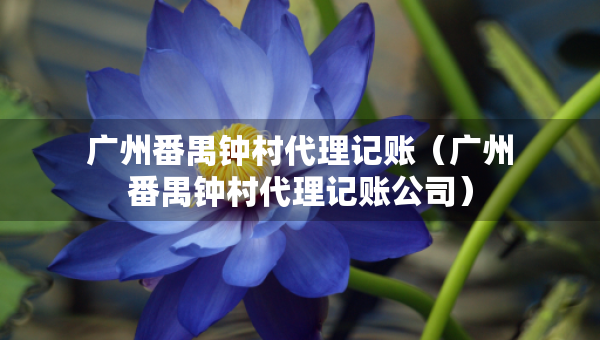 广州番禺钟村代理记账（广州番禺钟村代理记账公司）