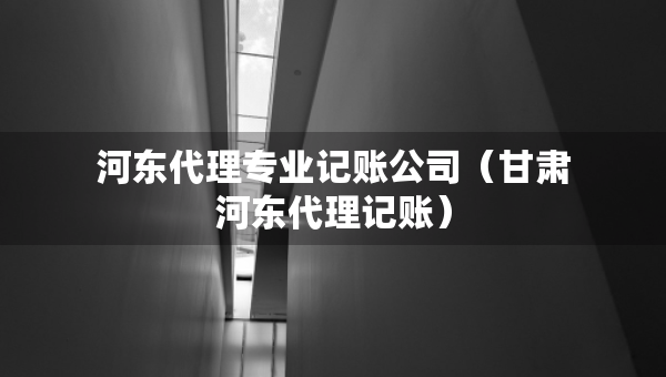 河东代理专业记账公司（甘肃河东代理记账）